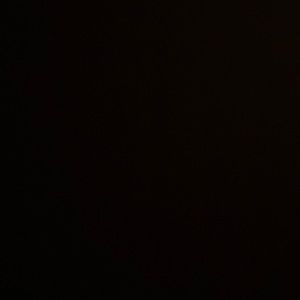 Meet your Posher, Nikita